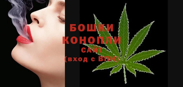 метадон Горнозаводск