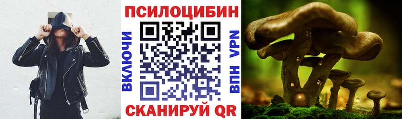 Галлюциногенные грибы GOLDEN TEACHER  Купить закладки  Оха 