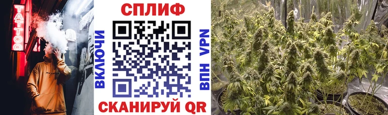 Конопля план Оха