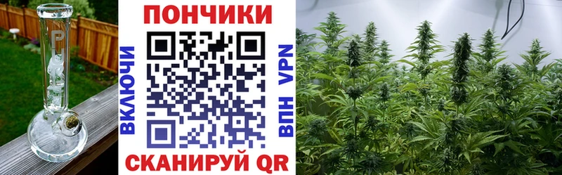 Бошки марихуана план  Купить закладки  Оха 